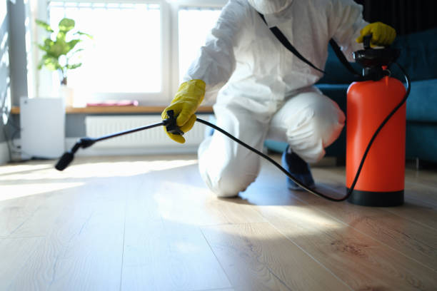 Reliable Infectious Disease Decontamination contractor in Kittredge, CO by Trauma Clean Pros